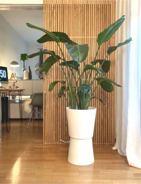 Gleich drei DIYs auf