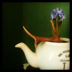 die Teekanne macht nicht nur den tee..