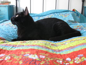 Die Schönste im ganzen Viertel! ☺️