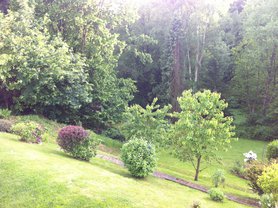 Unser Garten  Teil 2