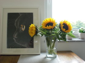 Sonne.... trotz Regen  