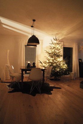 Baum von der anderen Seite