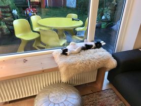 Bild von FrauSchulze