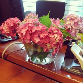 TGIF - Blumengruss einer ganz lieben Kollegin