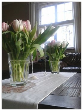 Tulpen - ach wie ich sie liebe