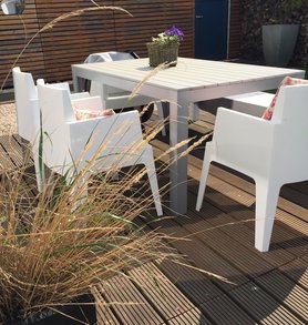 ... gar nicht so schlecht wie vorhergesagt ...