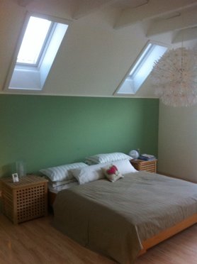 Neue Fenster im Dach des Schlazimmer