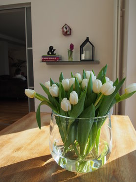 Der Januar verabschiedet sich mit Sonne pur...