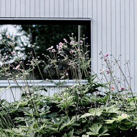 ... wer hätte gedacht,