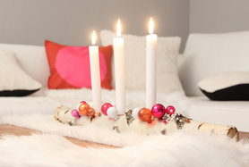 Birke in Lieblingsfarben