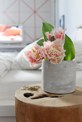 Frühling-nach-Haus-Blumen