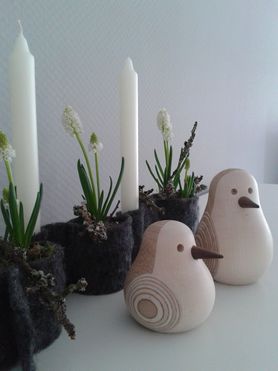 Allgäuer Spatzen in NRW gelandet 