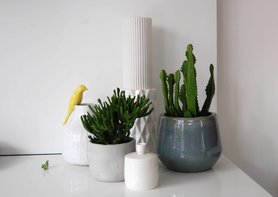 Wir gehören zusammen 