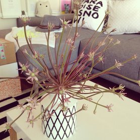 Auf dem weg zur Post...