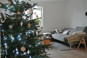 Weihnachtsbaum.... Die Schokoladenseite 