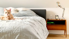 Lieblingsmöbelstück