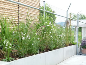 Neubau und mein Gemüsegarten 😟