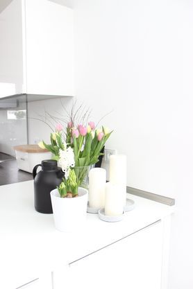 Tulpen, Hyazinthen usw. 