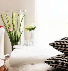 Heute im Wohnzimmer...