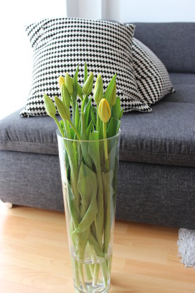 ...noch mehr frische Blumen