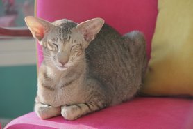 Der Platz ist beliebt 😆