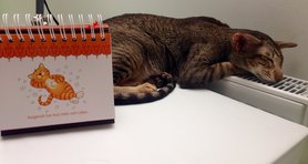 Ausgeruht hat man mehr vom Leben.