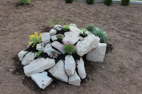 Katzentunnelsteingarten