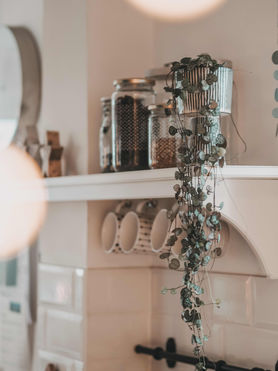 Bild von Christine Klas