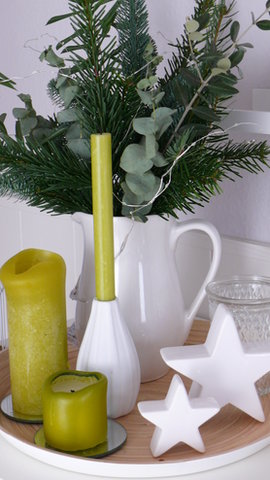 Marienkäfer im Winter...