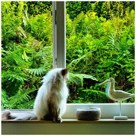 Ich habe mich bemüht