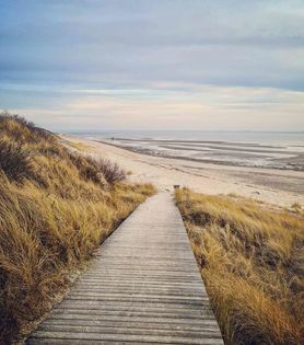 Bild von Eiderparadies