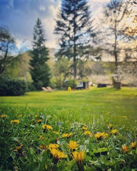 Bild von Eiderparadies