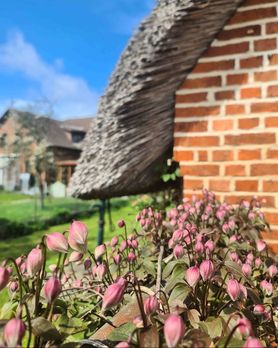 Bild von Eiderparadies