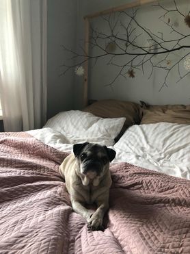 Bild von villakarobunt