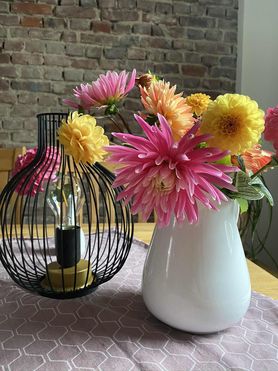 Bild von Manuela Binder