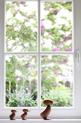 Alle wollen raus zum Flieder