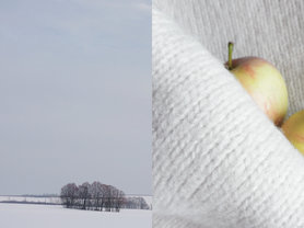 rheingruen Januarweißton