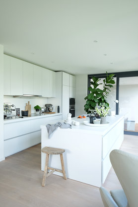 Ein neues Schätzchen.....