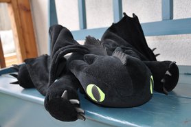 Neuer Mitbewohner...