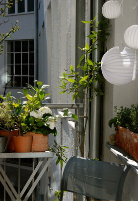 Balkon in der Morgensonne