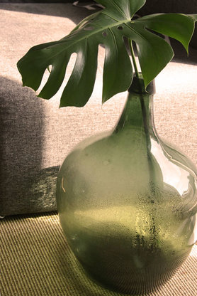 Willkommen Sonnenstrahlen 