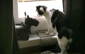 Smalltalk mit dem Türstopper