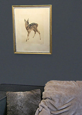 Sehr Nostalgisch. Rehkitz Bild.