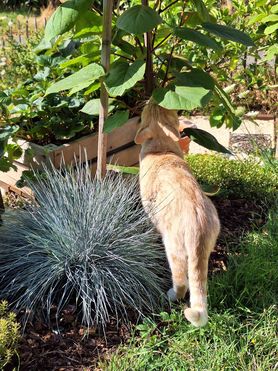 Bild von rapunzel1902