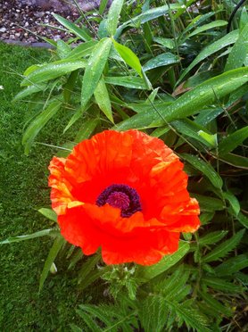 Mi-Ma-Mohn ☺️