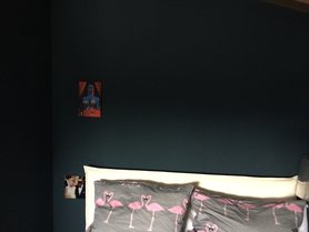 Bild 1 der Bilderwand hängt 