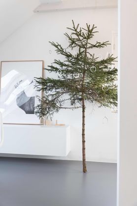 Bild von RAUMIDEEN von C.