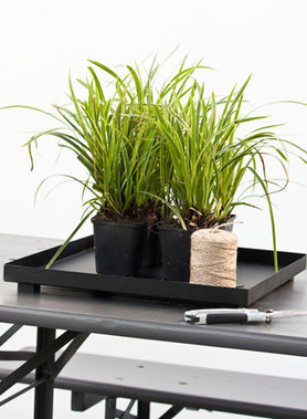 Gräser auf dem Gartentisch