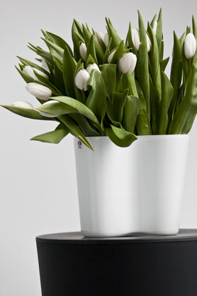 Ausblicke auf Fjorde und Seen