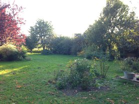 Blick in den Garten